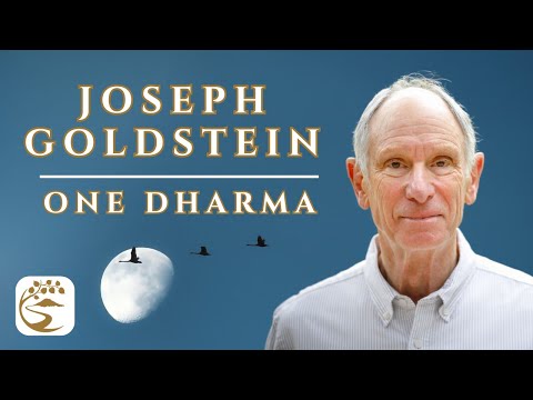 The Unborn & the Experience of Zero | Joseph Goldstein Q&A