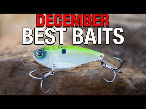 I NEVER Go Fishing Without These 5 Baits in December!