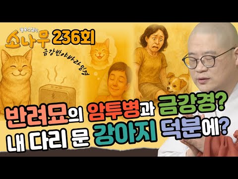 기도와 공덕의 힘- 금강경이 만든 생명 기적 이야기 그리고 뜻밖의 사건과 놀라운 결말 |광우스님의 소나무 236회 전체영상