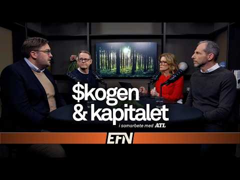 Är skogsägarna nästa stora vinnare?