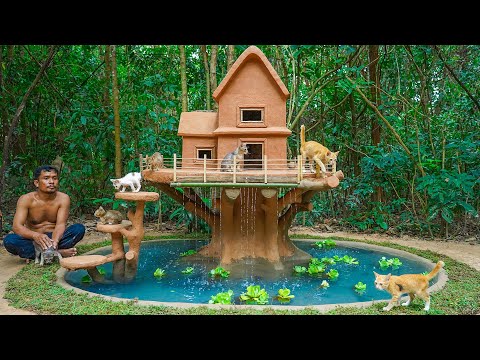 Rescue Kitten Cat And Build the Tree House for Cat with Amazing Aquarium