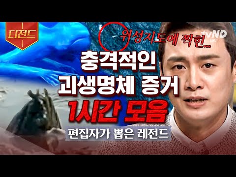 [#티전드] 설마 외계인 ..👽? 지금껏 보지 못한 전세계 괴생명체들 😮 백두산 천지 괴물부터 반인반수 괴물 빅풋까지😱 | #프리한19