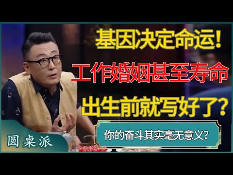 基因决定命运！你的工作、婚姻甚至寿命，早被出生前就写好了！ #窦文涛 #梁文道 #马未都 #周轶君 #马家辉 #许子东 #圆桌派  #圆桌派第八季