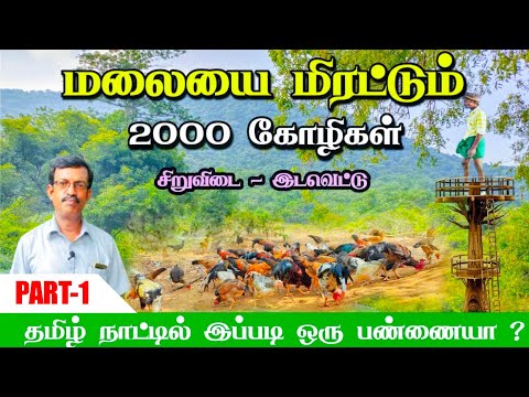 50 கோழியில் ஆரம்பித்து 2000 கோழிகளை உருவாக்கிய பண்ணையாளர்! தடுப்பூசி இல்லை! இன்குபேட்டர் இல்லை!