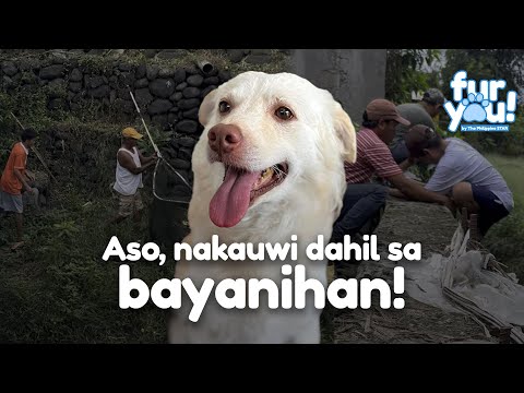 Dahil sa bayanihan, nahanap na ang aspin na si Pinpin!
