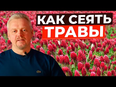 как сеять пастибща или сенокосы чтобы получить удой или привес