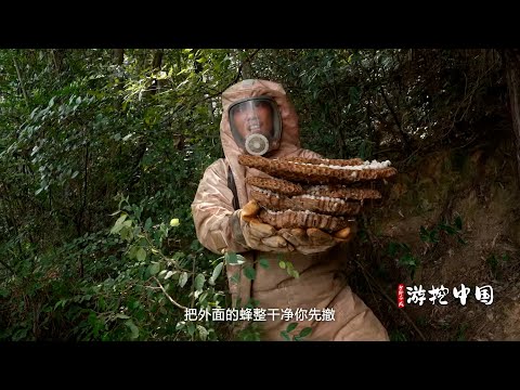 帮助蜂友除害，水路空全方位追击虎头蜂，领略湖南风土人情，巡猎湖南虎头蜂