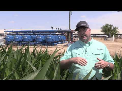 Will Midwest corn growers turn to drip?