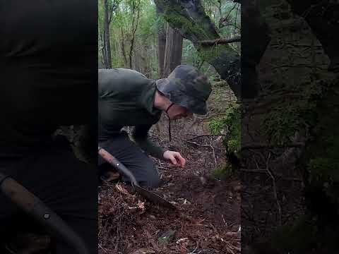 Rare Discovery Found On Abandoned Goldfield!!