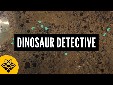 How Do Dinosaur Footprints Work?