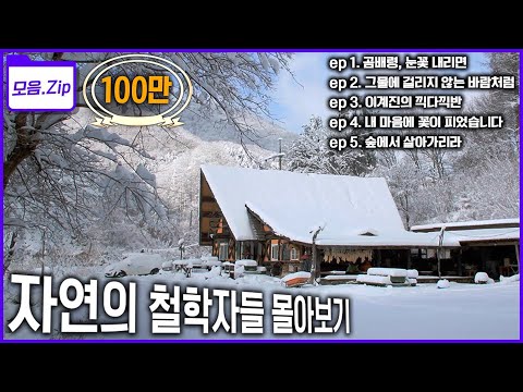 [모음zip🔴숲] ‘빌딩 숲’에서 ‘진짜 숲’으로 ‘매운맛 인생’에서 ‘순한 맛 인생’으로 삶이 자연이고, 자연이 삶이 된 자연의 철학자들! | KBS 2023년 방송