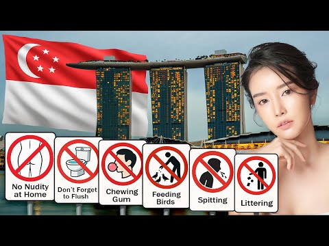 Why Can You Go to Jail for Chewing Gum Here?