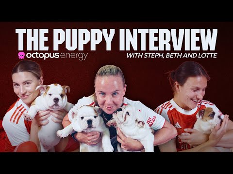 THE PUPPY INTERVIEW 🐶 | Getting cosy with Beth, Steph and Lotte | Octopus Energy
