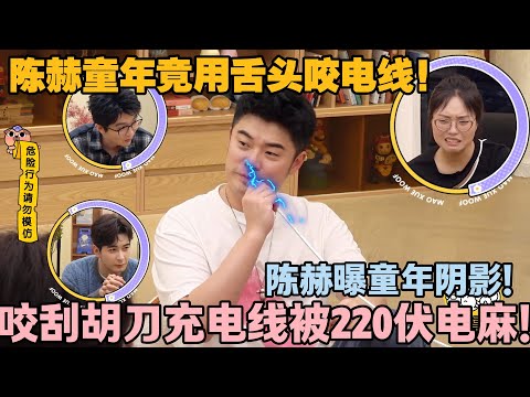 【毛雪汪 第132期】：陈赫曝童年阴影：咬刮胡刀充电线被电，痛到条件反射，现在想仍后怕！！#李雪琴 #毛不易 #毛雪汪