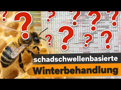 Ich überprüfe mich selbst! Frohes Fest!