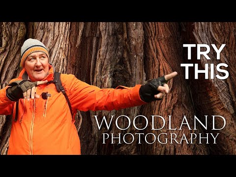 Woodland Photography TRY THIS