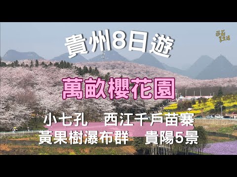 貴州8日遊：沈浸萬畝櫻花園，穿越黃果樹瀑布，體驗小七孔和苗族風情、貴陽古今...