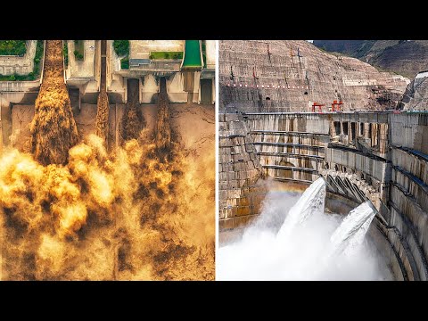 壮观，在小浪底见到了现实版黄河之水天上来！奇妙，白鹤滩的鱼竟然有“专用电梯”？| LIVE NOW