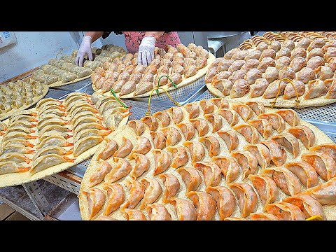 How to Make Best Handmade Dumplings - Korean Street Food / 충청도 청주 50년전통 줄서서먹는 육거리소문난만두