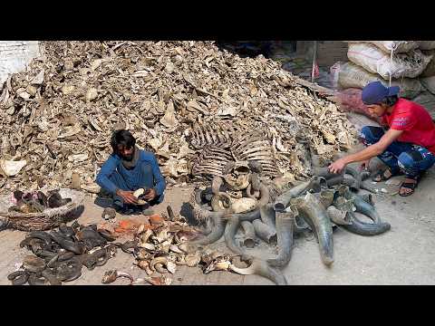 Top 7 Most Viewed Recycling & Manufacturing Videos 2025 | Amazing Mass Production Factory