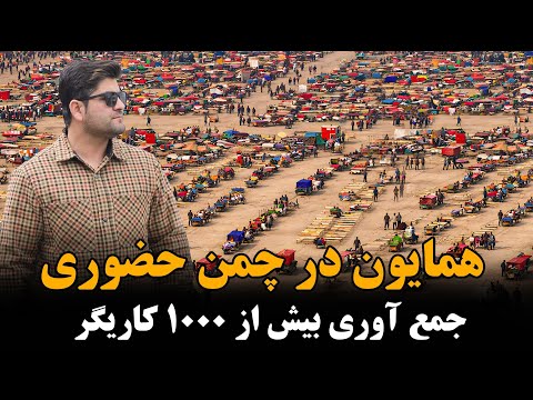 جمع آوری دست فروشان و کراچی داران کابل 