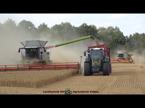 Claas - Fendt - Krampe - Fortuna / Getreideernte - Grain Harvest