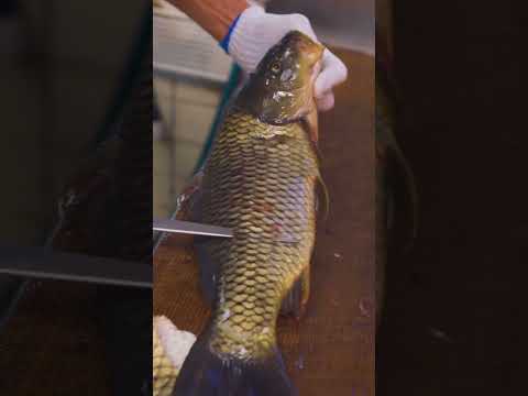 Amazing carp cutting skills! Fish revive at the end?