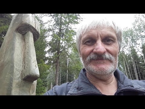 Землеройки. Кто не спрятался, я не виноват.