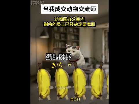 当我成了动物交流师 #猫meme #猫meme小剧场 #动画 #猫meme剧场 #搞笑