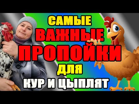 Самые ВАЖНЫЕ ПРОПОЙКИ для кур. Как подготовить кур к инкубационному периоду.