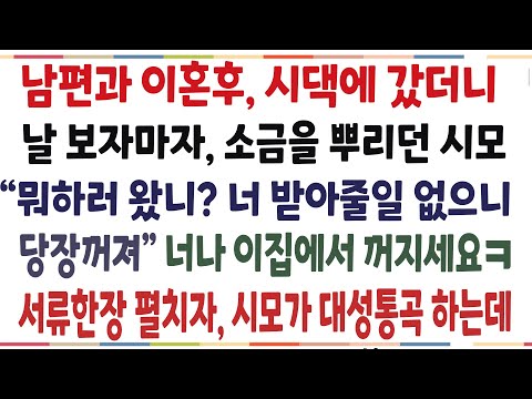 (반전신청사연)남편과 이혼후 볼일보러 시댁에 갔더니 내 얼굴에 소금을 뿌린 시모!  곧장 서류를 펼치며 내가 온 이유를 말했더니 대성통곡하는데ㅋ[신청사연][사이다썰][사연라디오]