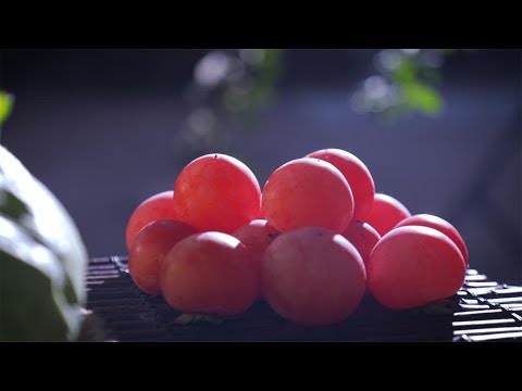 snow and hot pot, perfect match『我就问你，下雪天不吃火锅吃啥』 ▎Snowy days go well with hot pot❤|Liziqi Channel