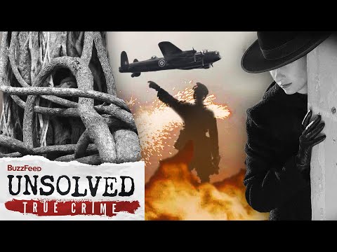 The Creepy Quandary of Who Put Bella in the Wych Elm