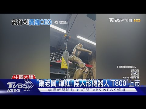 「踹老闆」爆紅! 陸人形機器人「T800」上市 台幣80萬元起|TVBS新聞 @TVBSNEWS01
