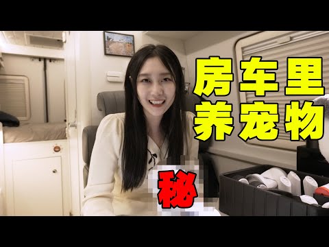房车收快递男友竟买了只宠物？！     #宠物  #房车自驾游   #敦煌【VanLife】