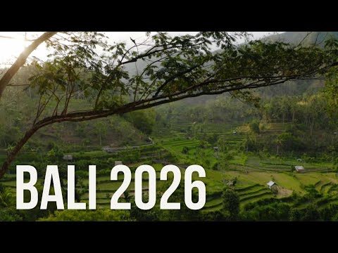 Bali Step by Step Travel Guide 2026