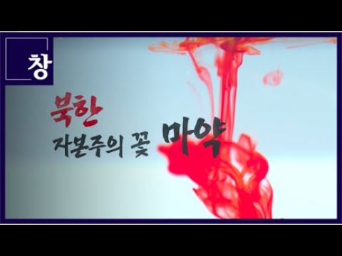탈북민이 국제 마약밀매조직의 거물이 된 배경은? '북한 자본주의 꽃, 마약' [풀영상]| 시사기획 창 378회 (22.07.05)