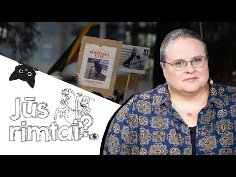 Širinskienė – apie Nuodėgulį ir chaosą Seime | Jūs rimtai?