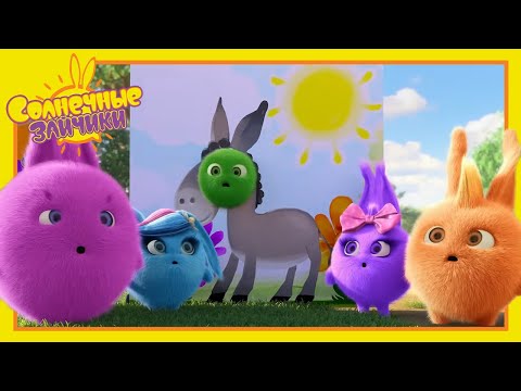 Хоппер не хочет быть ослом | Солнечные зайчики