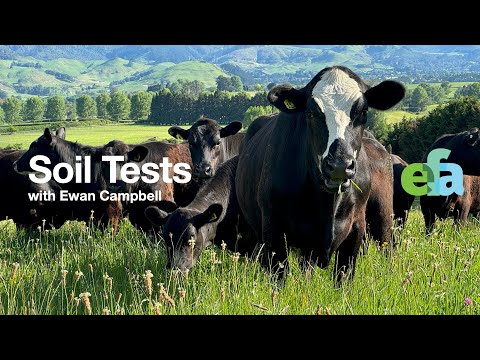 The Ultimate Farm Soil Test to Save Money, Time & Maximize Regenerative Production!