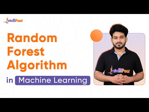 Random Forest Explained | Random Forest Algorithm in Machine Learning | Data Science | Intellipaat