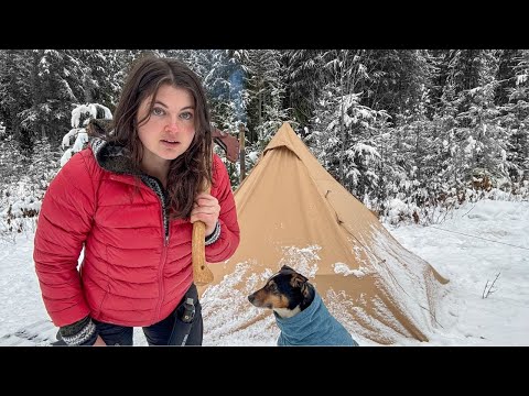 Solo Winter Hot Tent Camping in a Snowstorm with my dog
