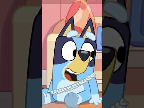 You're very rememberable! π§‘ | Bingo - Official Channel #ytshorts