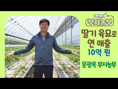 [역전의부자농부 302회] 딸기 육묘로 연 매출 10억 원! 경남 함양 문광옥 부자농부