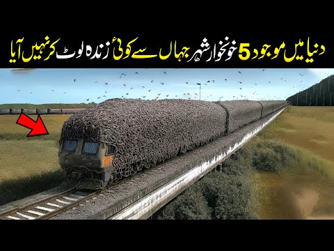 Wo Khunkhar Shehar Jahan Se Koi Lout Kr Nahe Ata | Dangerous Cities In The World | Edufection