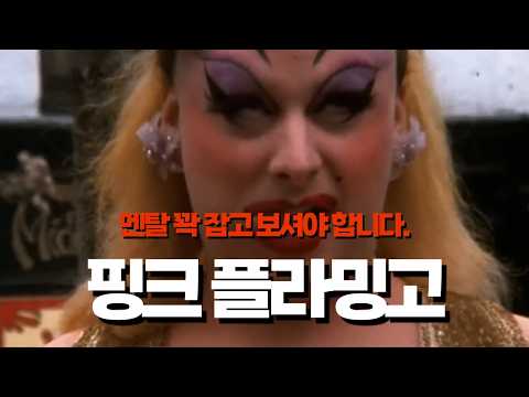 '핑크플라밍고' 리뷰 l 비위 강한 사람 모집합니다.