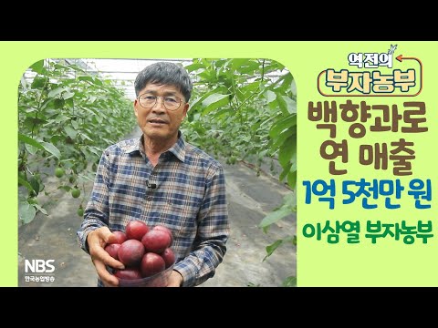 [역전의부자농부 259회] 백향과로 연 매출 1억 5천만 원! 전남 순천 이삼열 부자농부