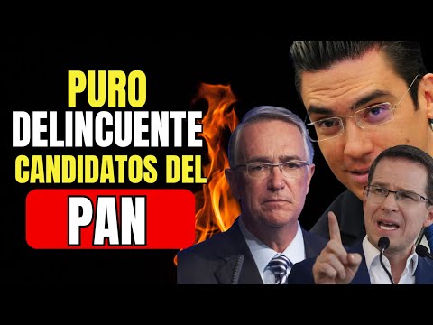 Los PEORES candidatos del PAN hacia 2030