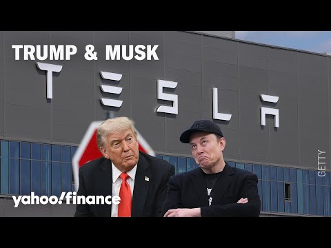 Musk and Trump are fighting like 'two kids in the sandbox,' but the 'play date' will be back on