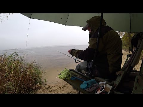 #рыбалка #фидер #плитка  На фидер за плотвой с экспериментальной прикормкой!